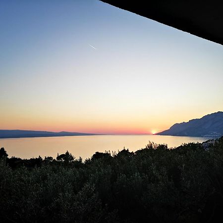 Holiday Home Oliveta 布雷拉 外观 照片