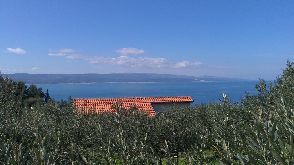 Holiday Home Oliveta 布雷拉 客房 照片